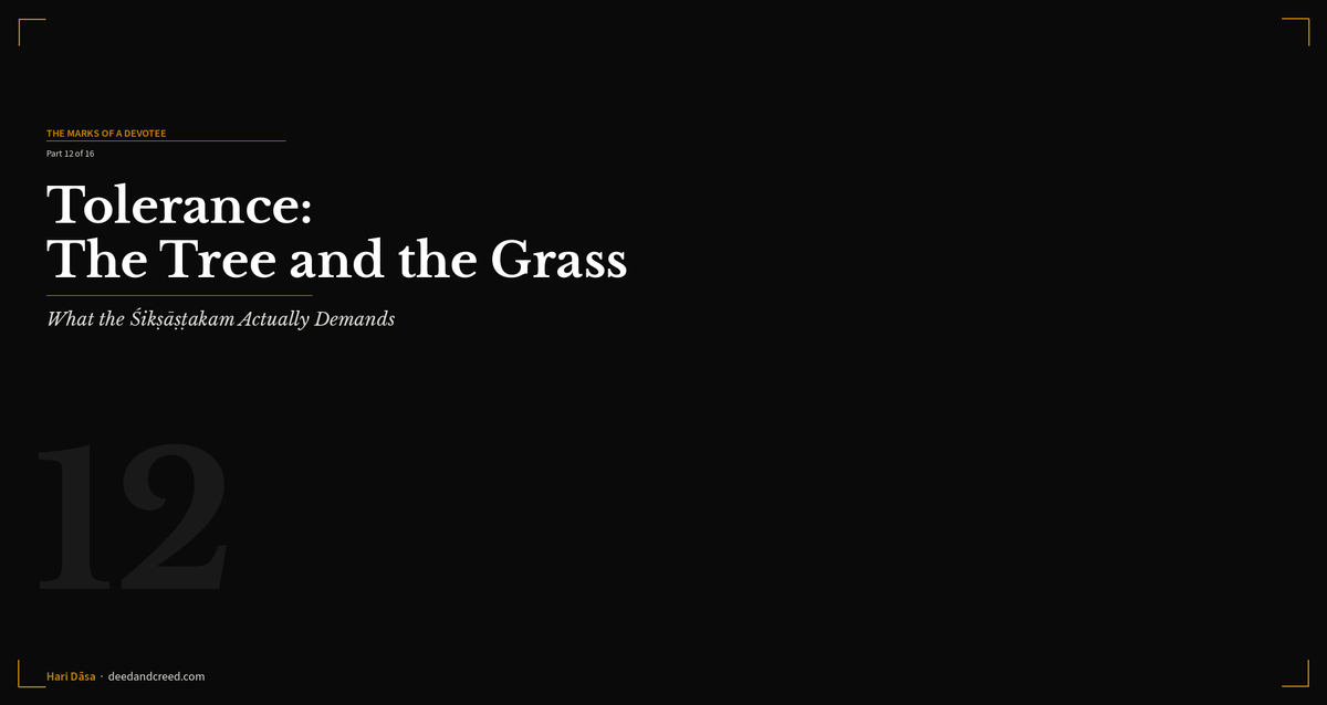 Tolerance: The Tree and the Grass