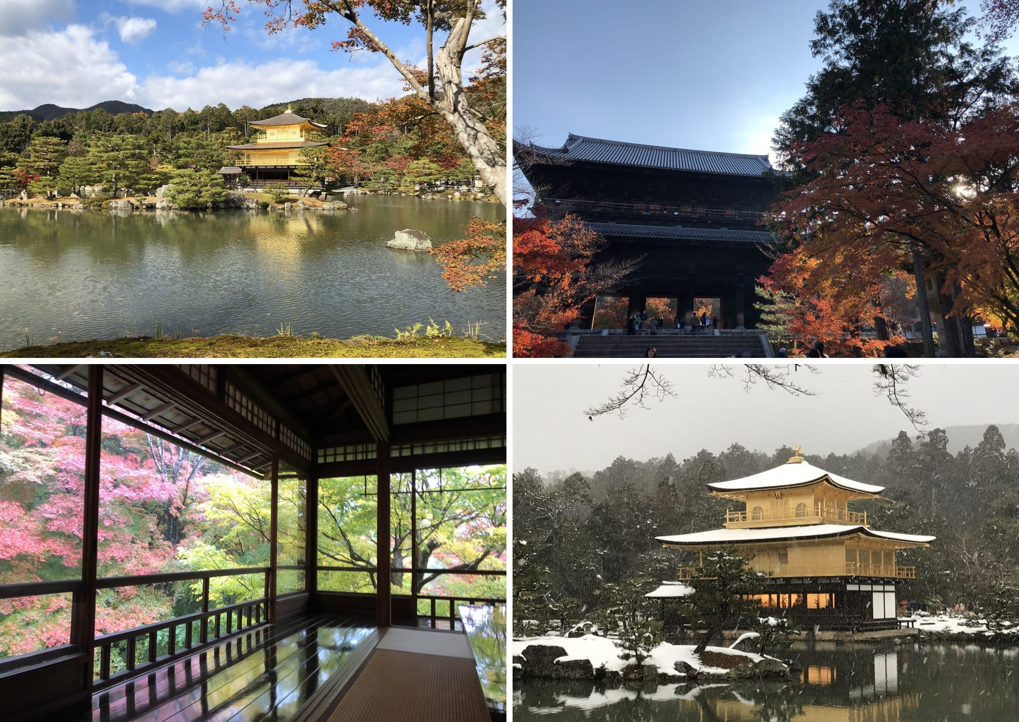 Kyoto: Kinkaku-ji in autumn and in snow, a temple gate and a ryokan window with maple leaves