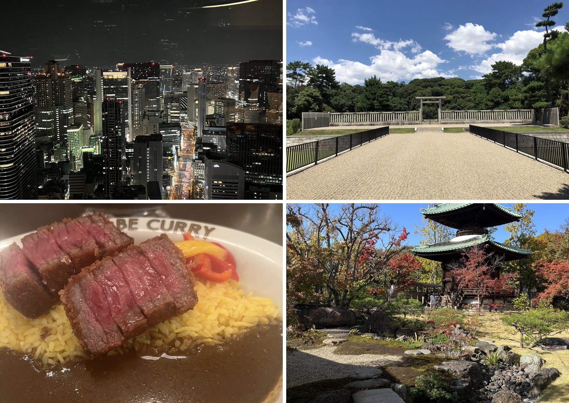 Osaka: Umeda skyline at night, a shrine approach, beef katsu curry and a temple garden