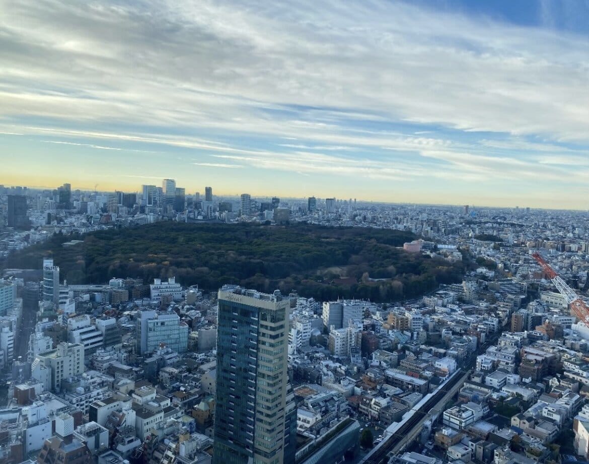 Aerial view of the Institute for Nature Study forest in Shirokanedai, Meguro area, Tokyo
