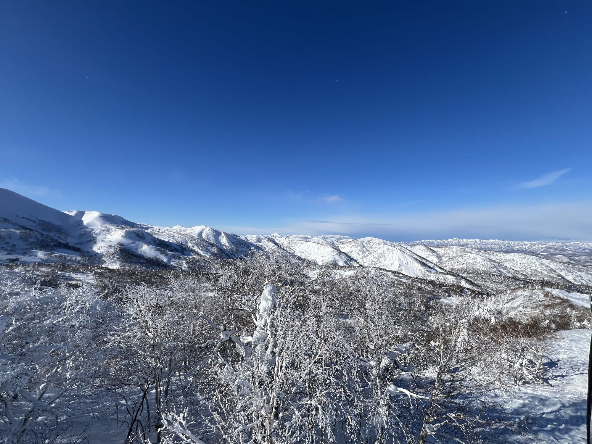 Snow-covered trees and mountain ridgelines seen from the Kiroro summit under a clear blue sky