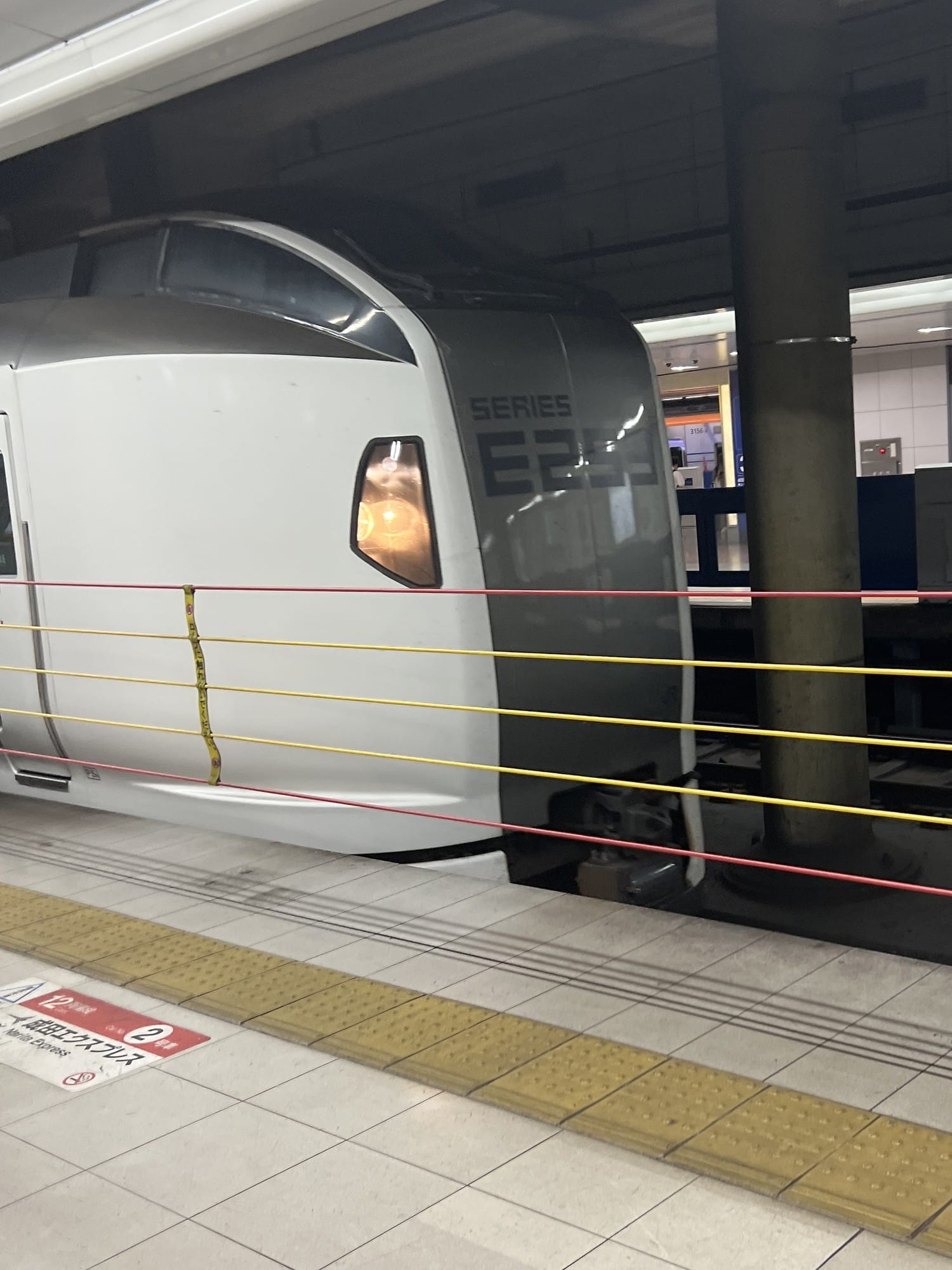 A Narita Express E259 series train waiting at a station platform