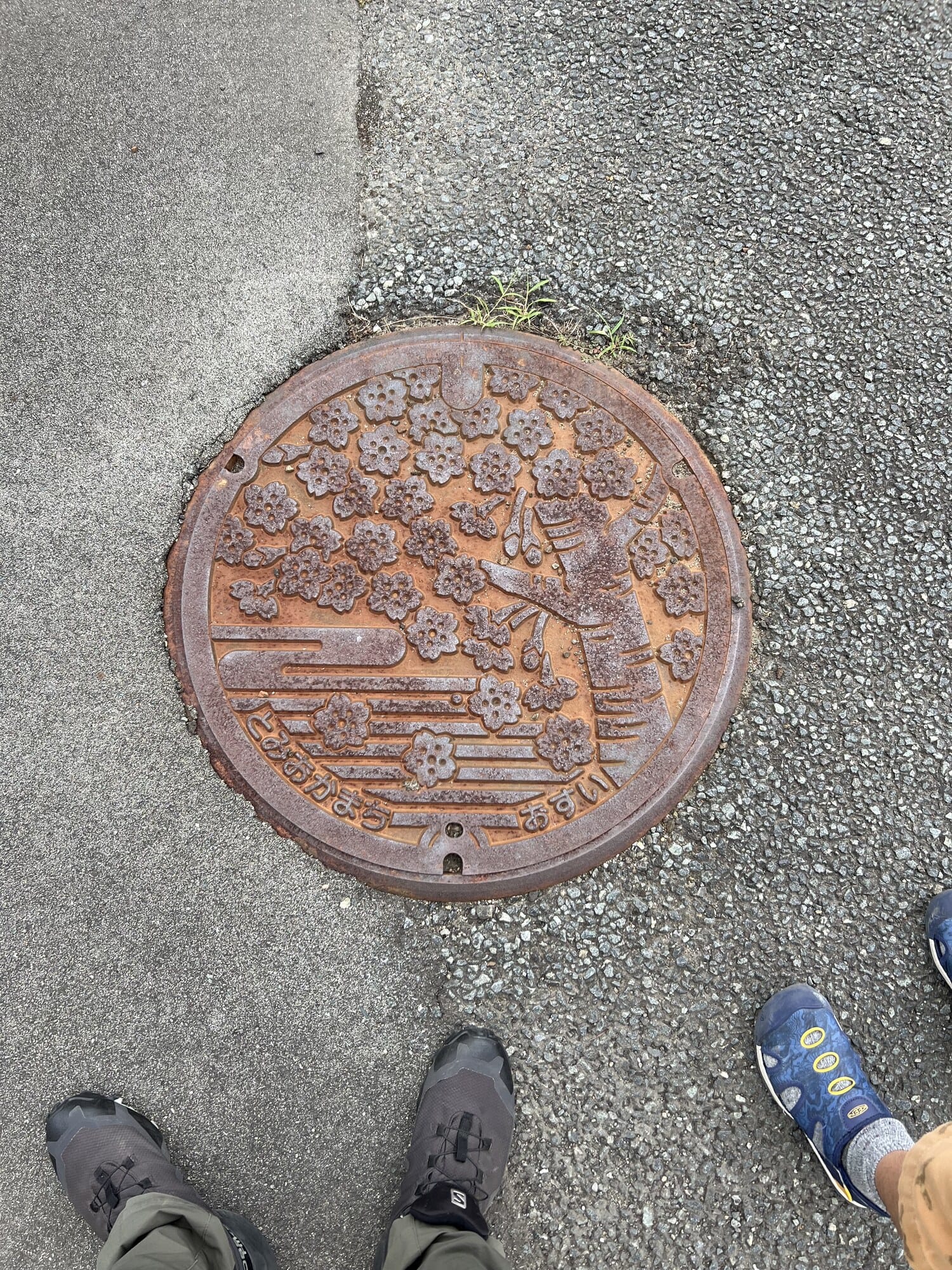 Rusted pre-2011 manhole cover with a cherry-blossom design set into new pavement in Tomioka, Fukushima
