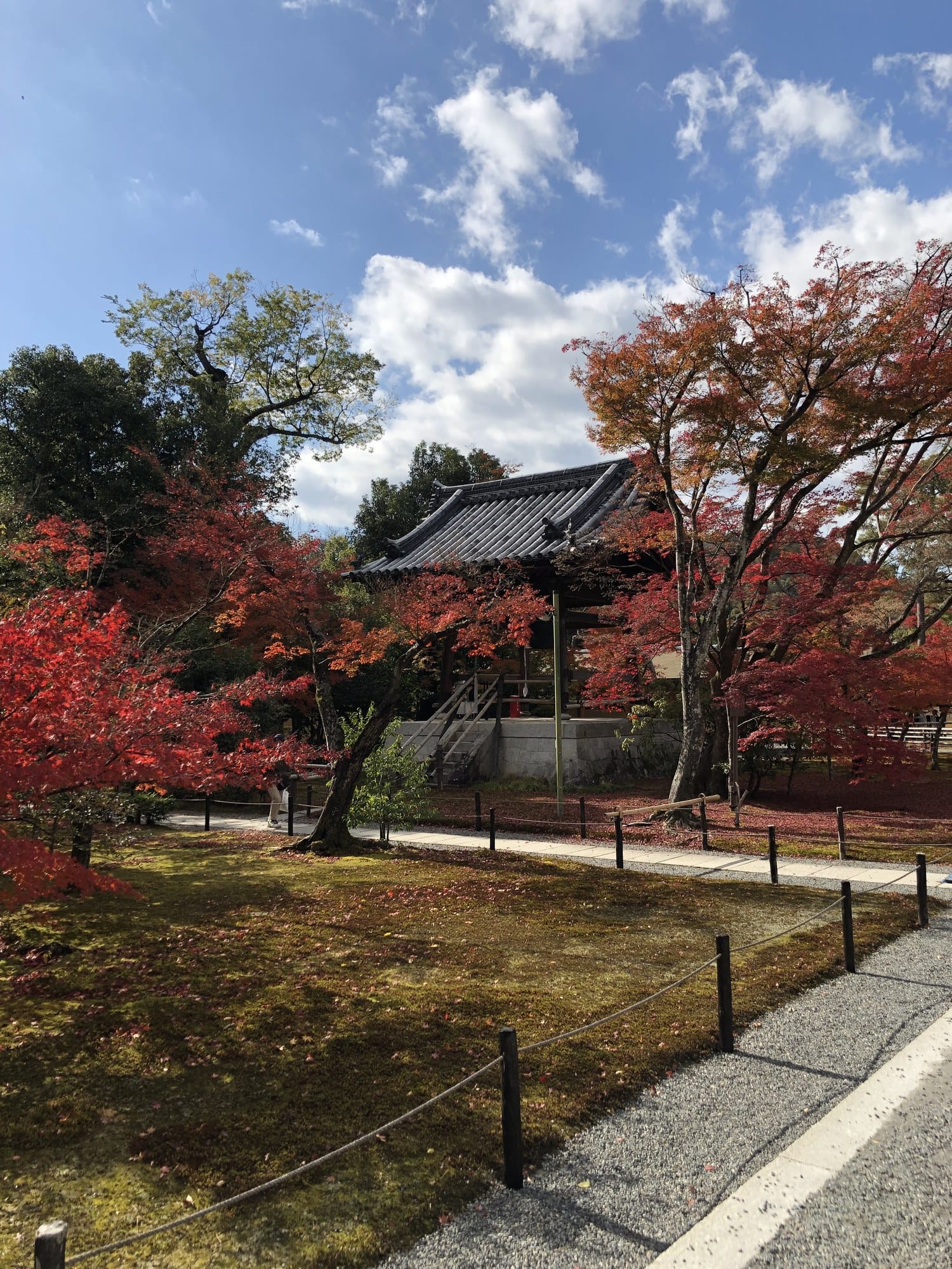 A moss court and gravel path at Kinkaku-ji with red maples and a tiled roof behind