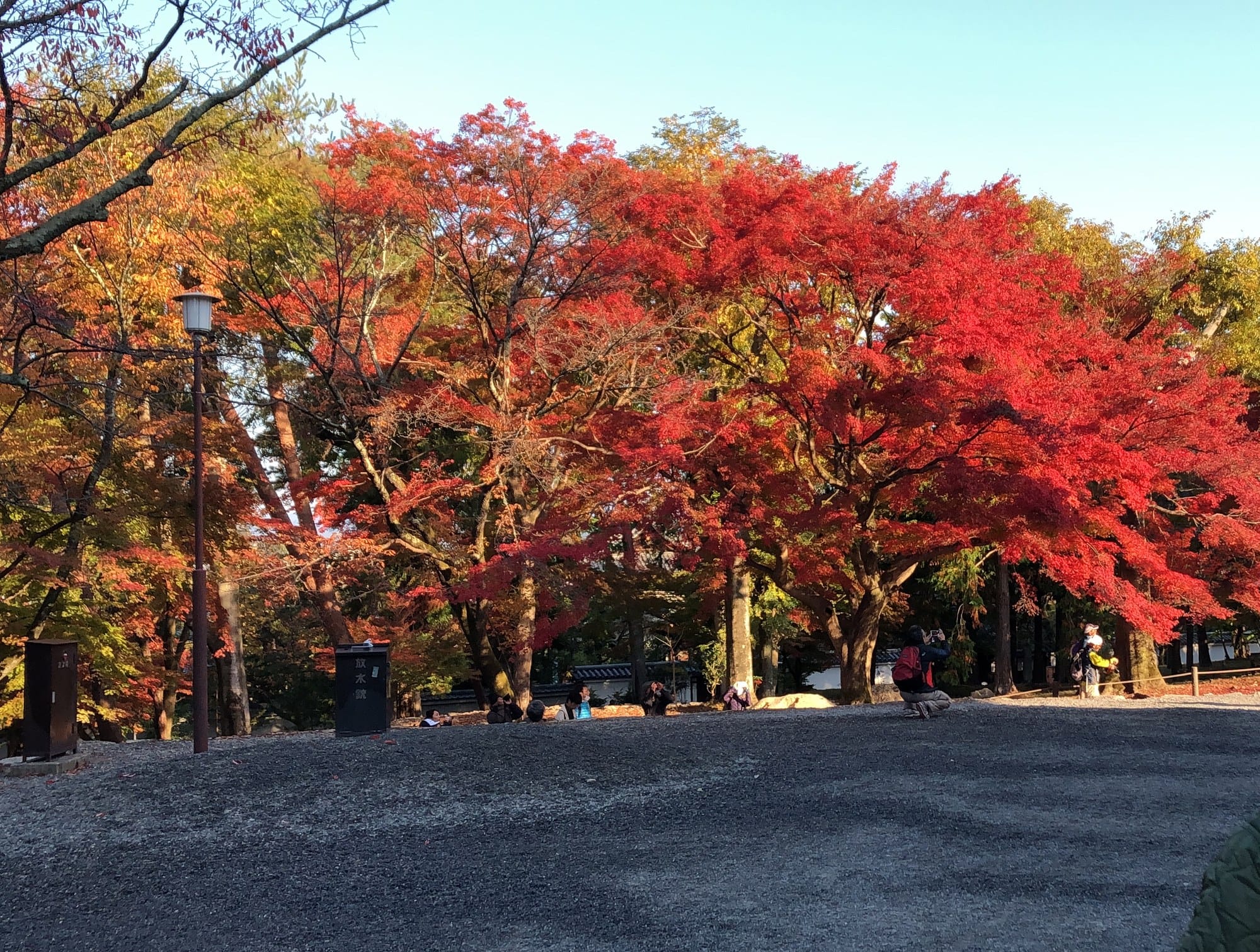 A large maple in full red over a gravel forecourt at Nanzen-ji, with a few visitors in the distance