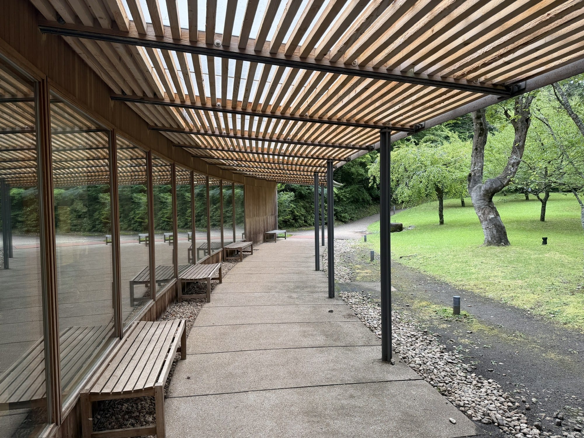 The covered walkway at Toraya Kobo: a timber louvre canopy on slim steel posts, curving along a glass wall with benches, open to the orchard