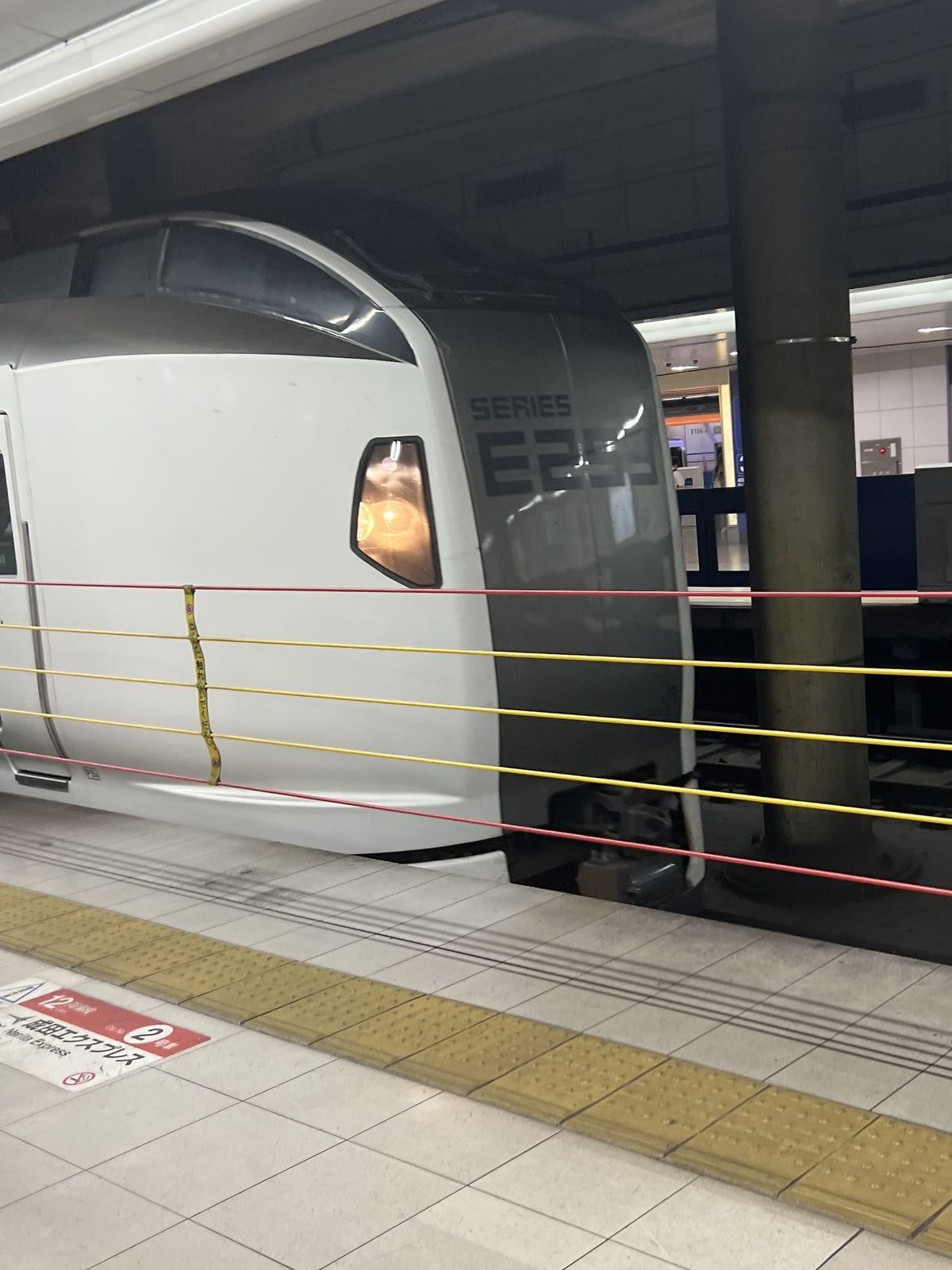 A Narita Express E259 series train waiting at a station platform