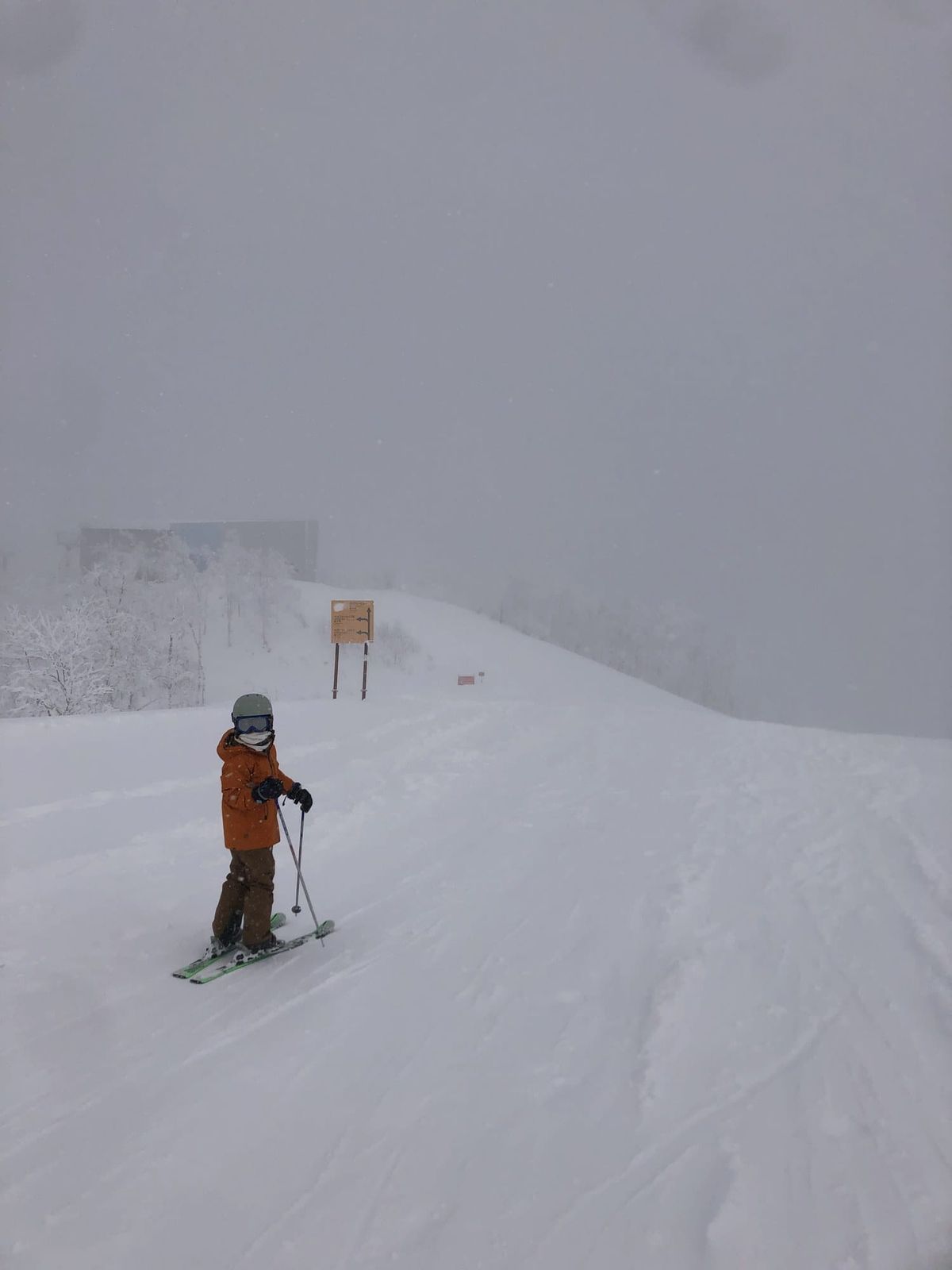 Skieur en veste orange sur une piste de poudreuse à Rusutsu
