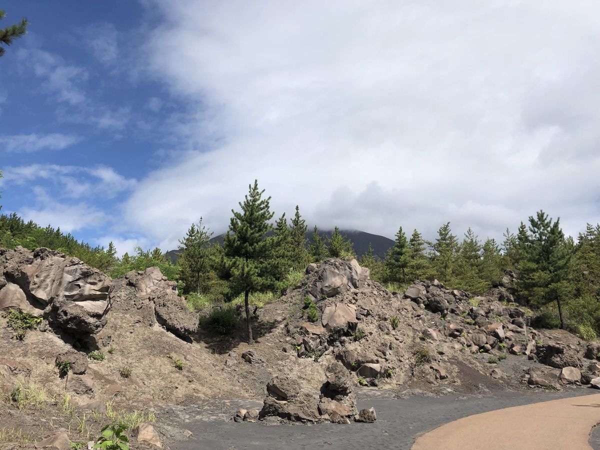 Walking trail through the rocky lava field on Sakurajima with pine trees and the volcano shrouded in cloud