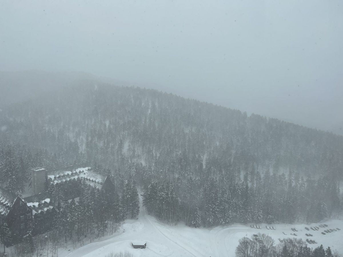 Pente boisée et bâtiment de Tomamu sous de fortes chutes de neige