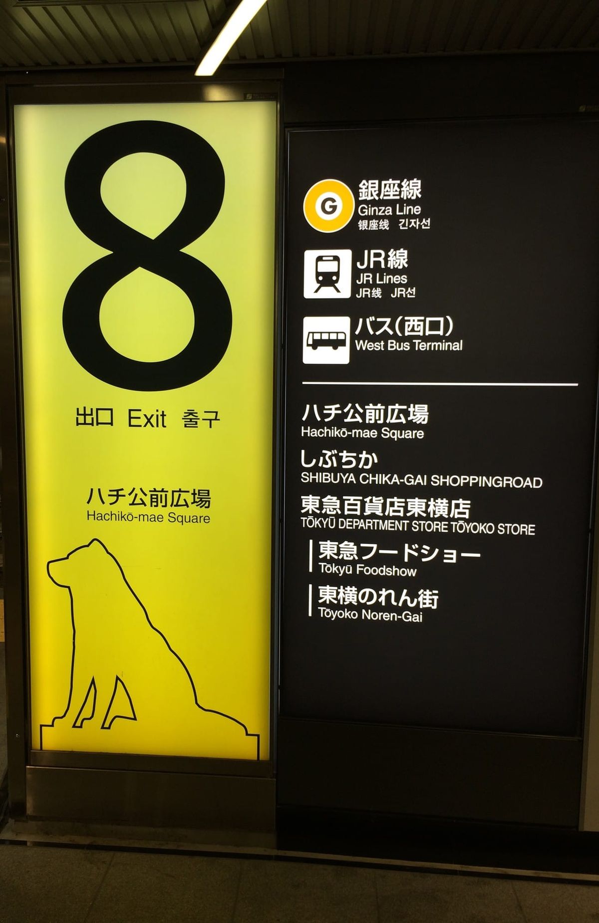 Shibuya Station Exit 8 sign for Hachiko-mae Square, with the Hachiko dog silhouette