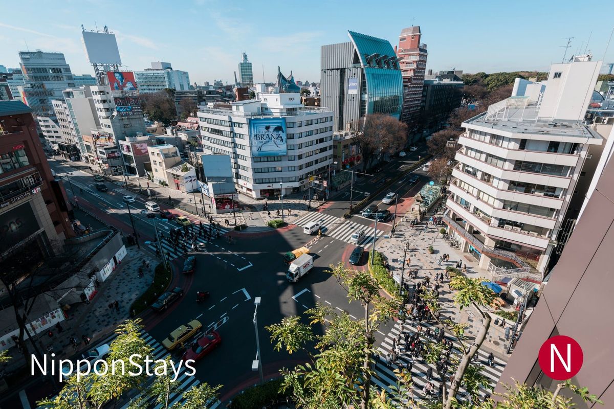 The tree-lined avenue of Omotesando