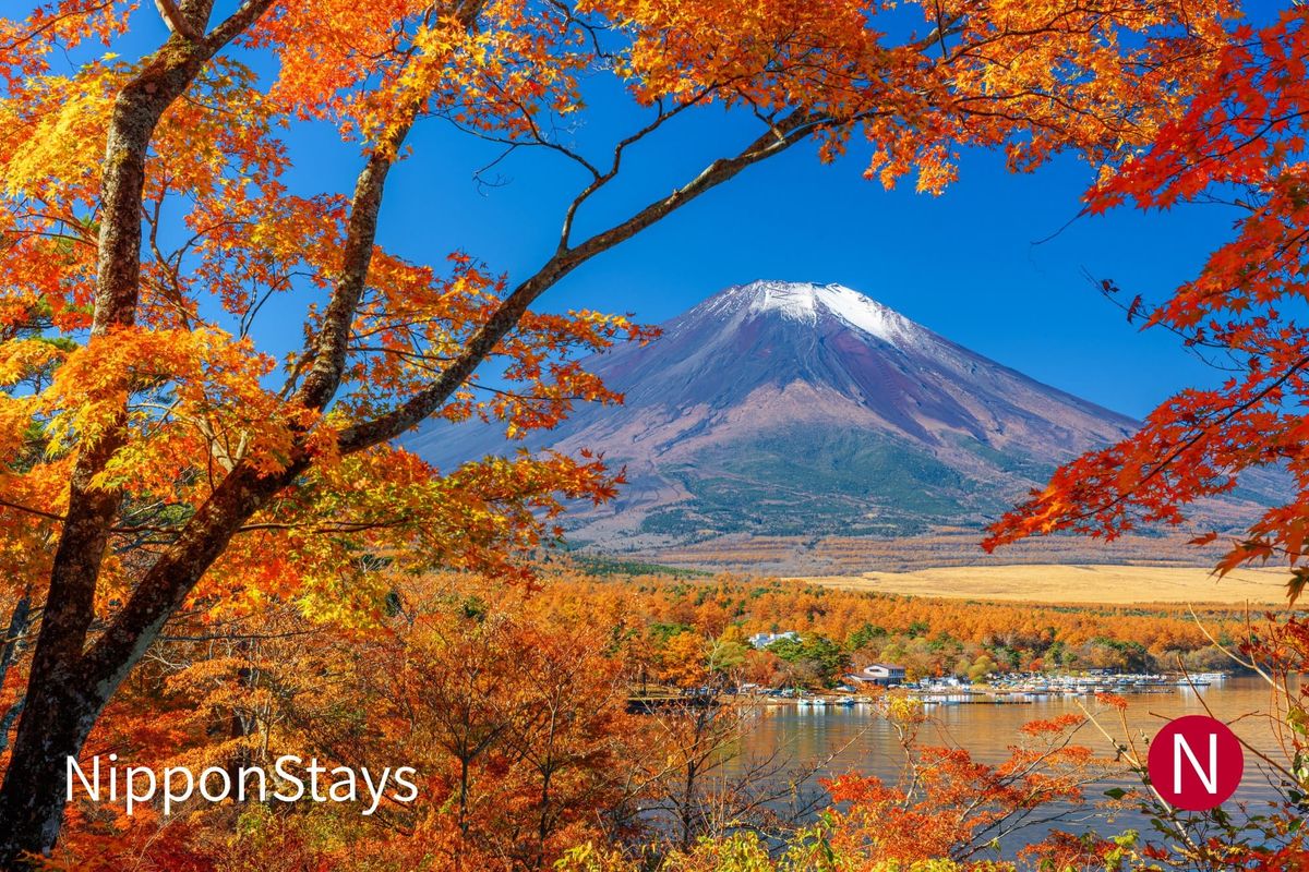 Mount Fuji above a lakeside marina, framed by orange maple branches