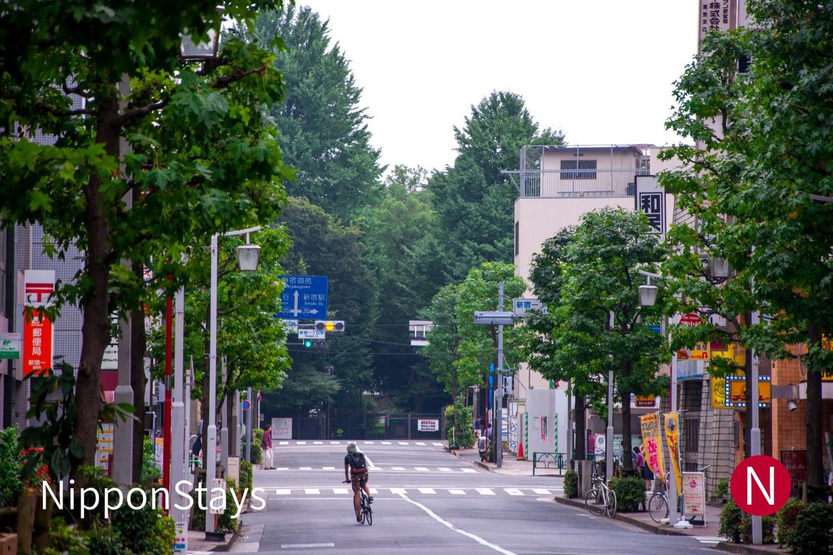 An early-morning street in Shinjuku, trees along the pavement