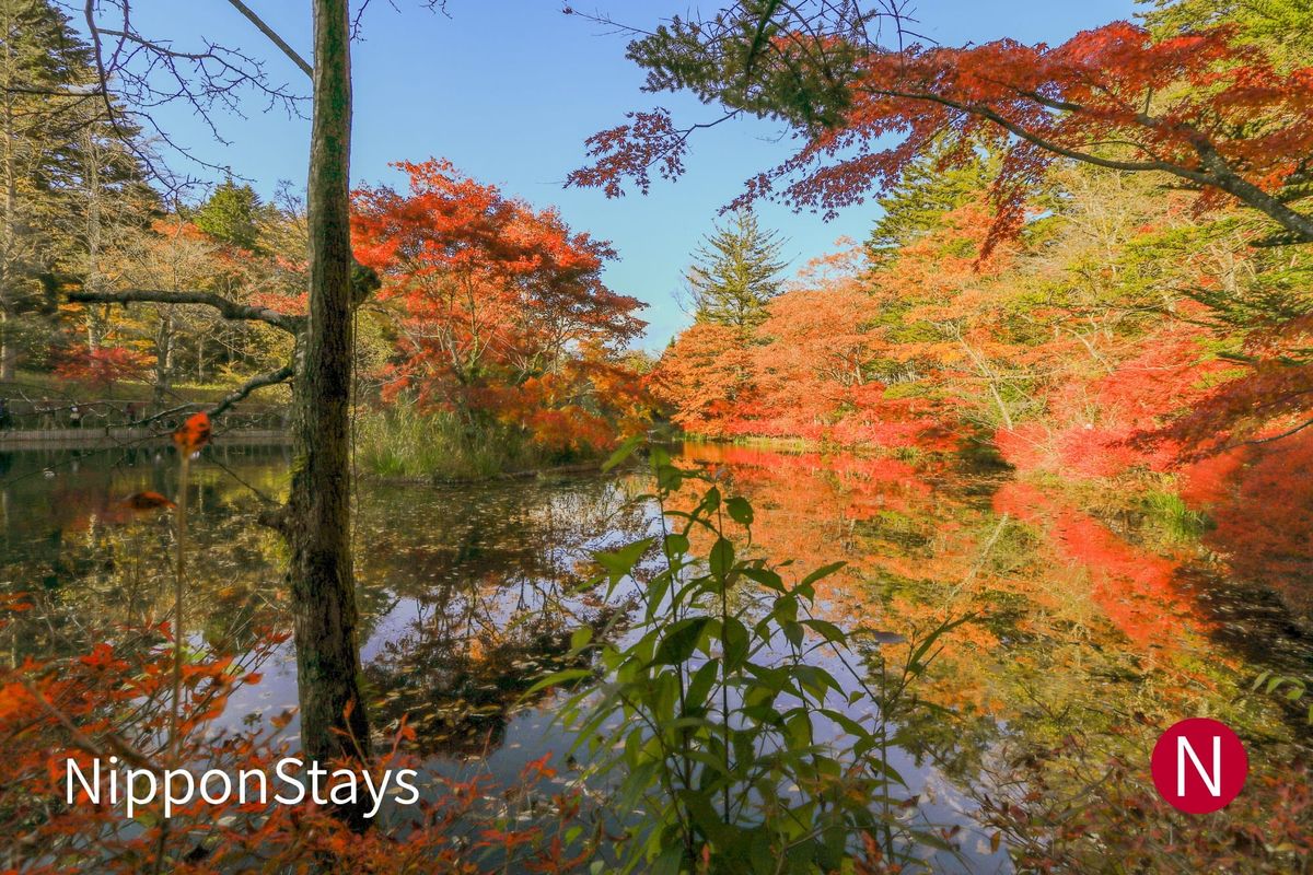 A still pond reflecting red and orange trees under a clear sky