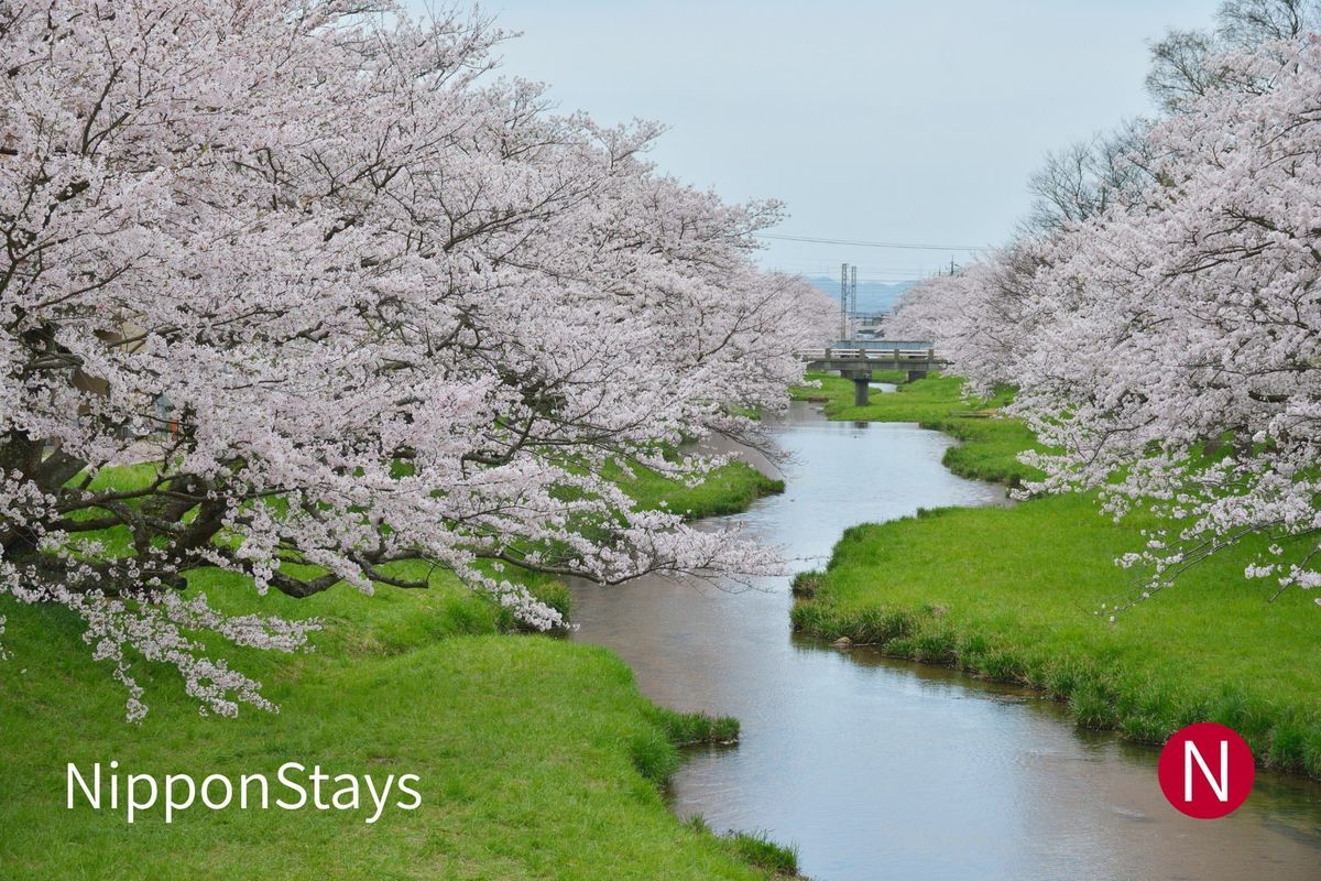 The Tamayu River running through Tamatsukuri Onsen