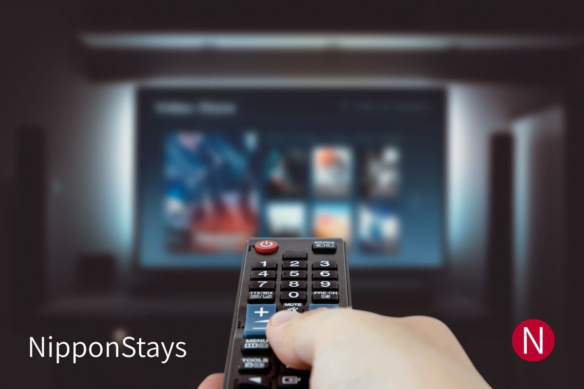 A streaming service menu on a television