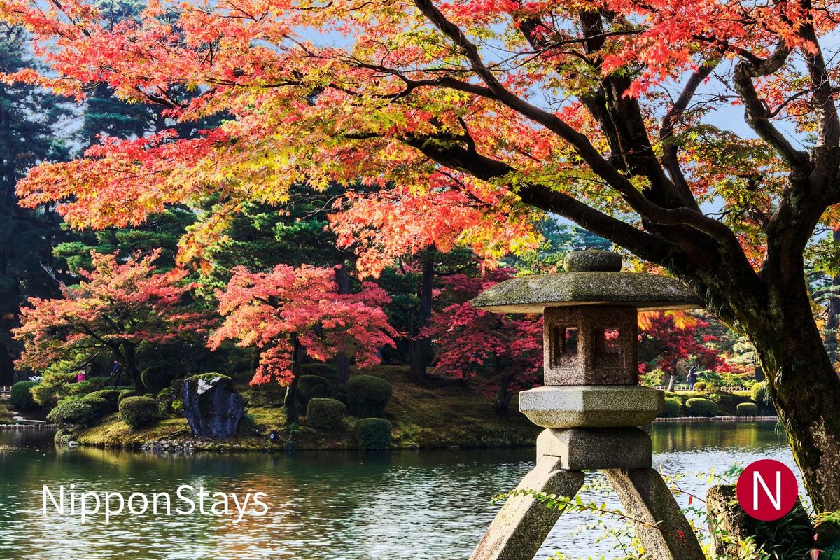 A stone lantern beside a garden pond under red maples