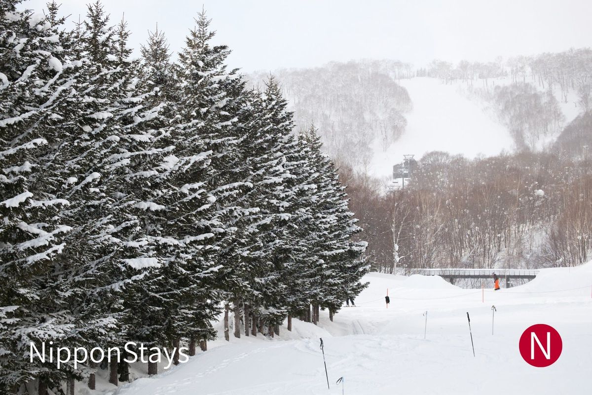 Snow-covered mountains in Hokkaido under a pale winter sky