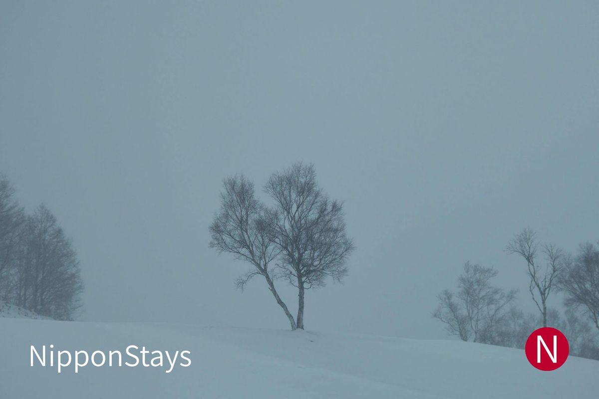 A quiet snow-covered landscape in Niseko