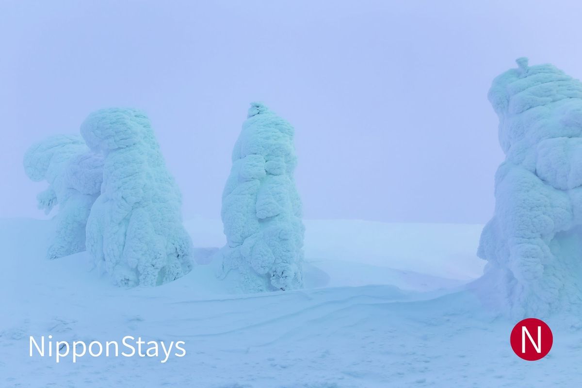 Snow-encased trees known as juhyo standing on the upper slopes at Zao