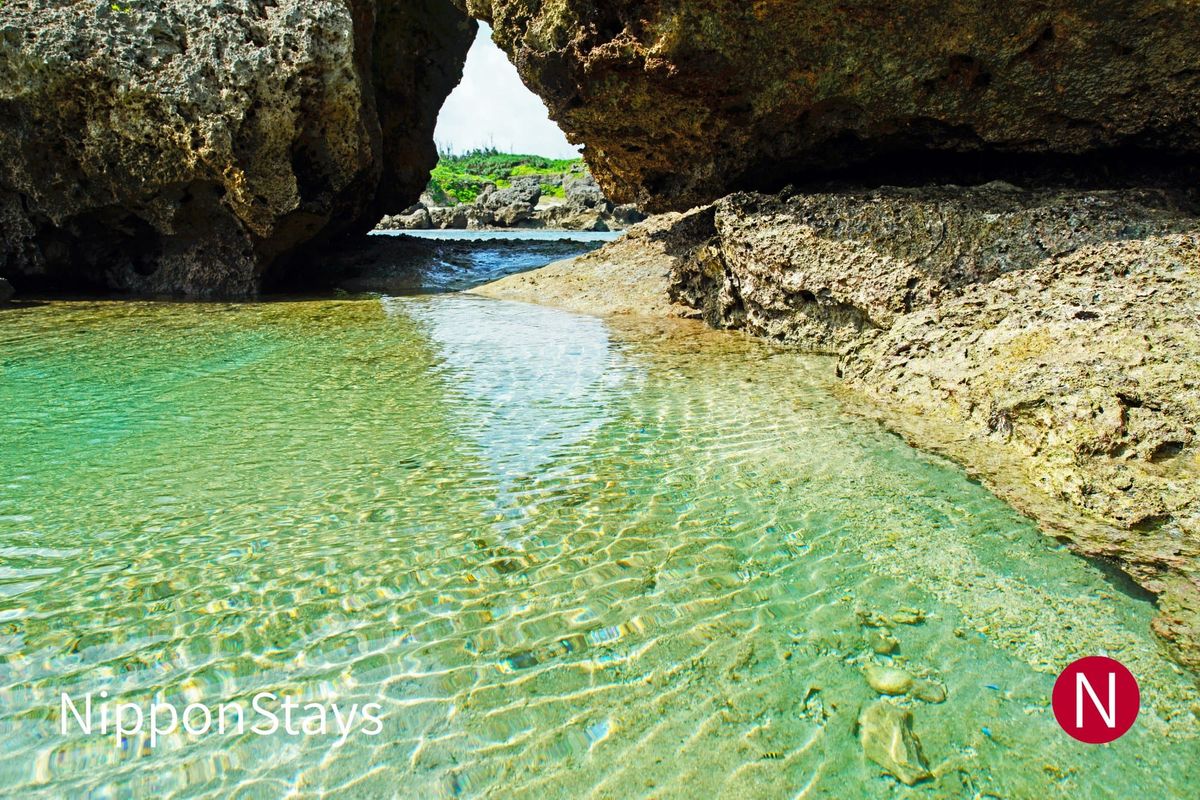 Clear water and a quiet coral reef along the Okinawa coast