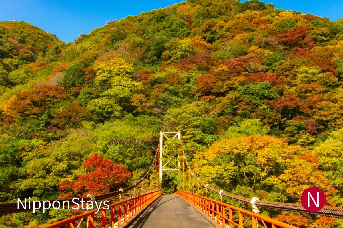 An orange suspension bridge crossing towards a hillside of mixed autumn colour