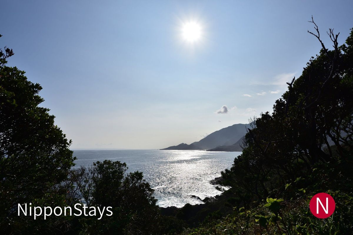 Sunlight on the sea off Yakushima, seen through coastal trees