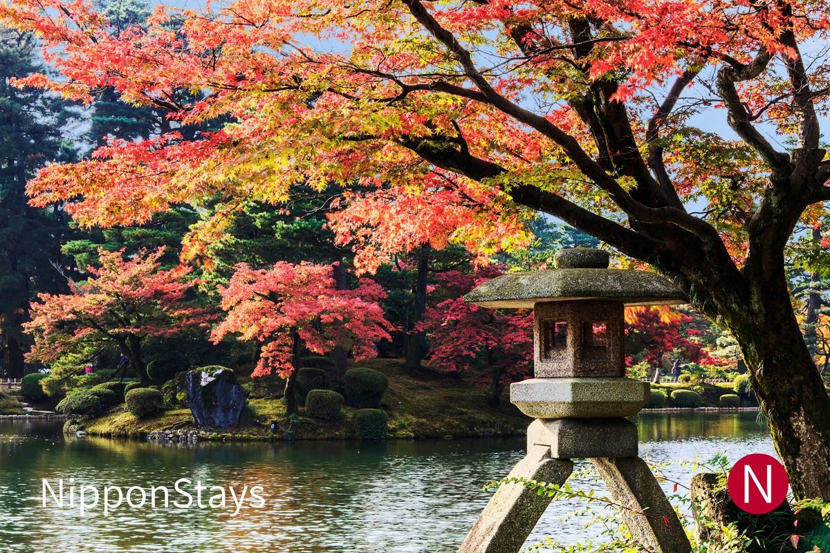 Autumn maples and a stone lantern beside the pond at Kenrokuen, Kanazawa