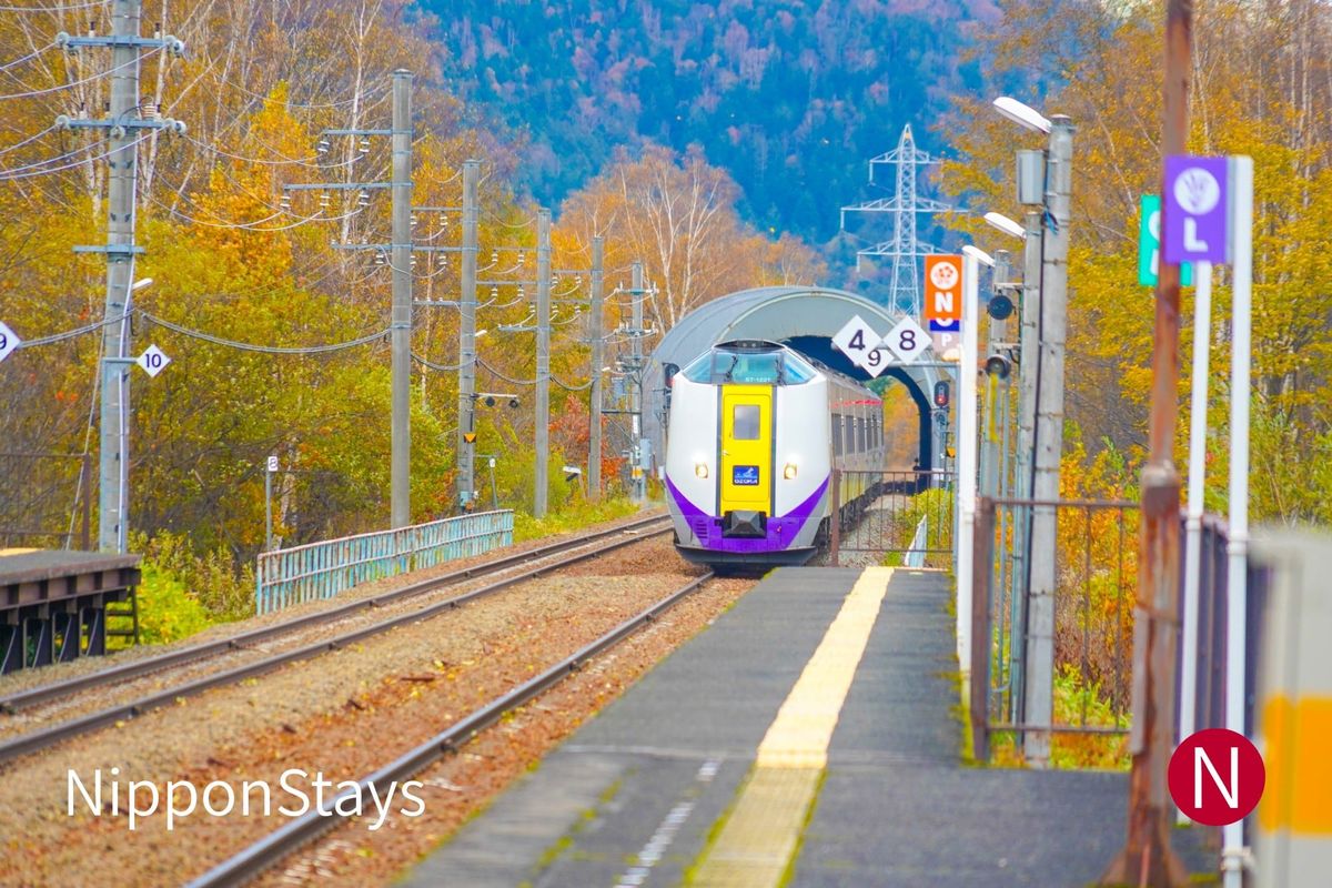 A limited express train arriving at a rural platform with autumn-coloured hills behind