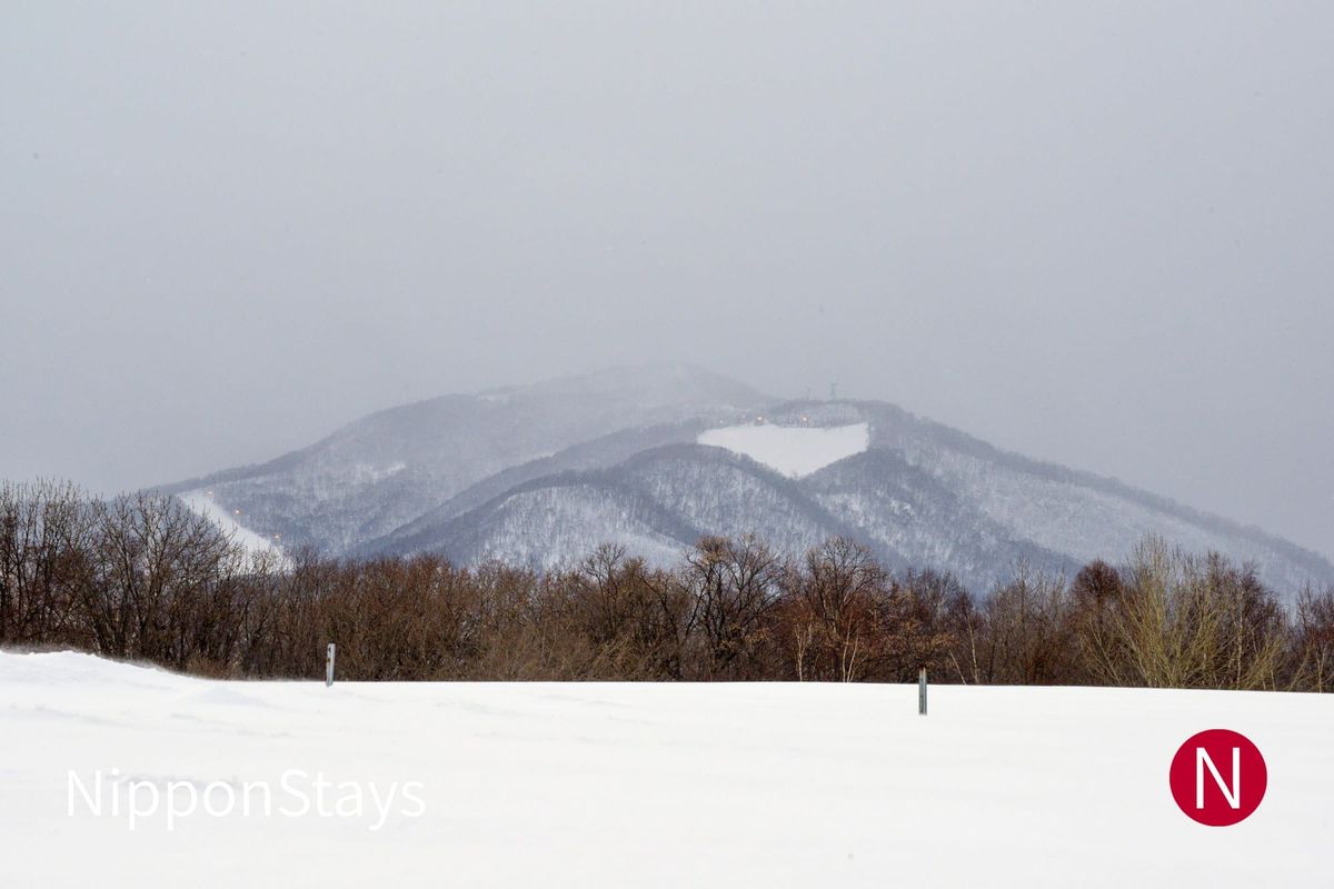 Montagne enneigée près de Sapporo, avec des pistes visibles sur le versant