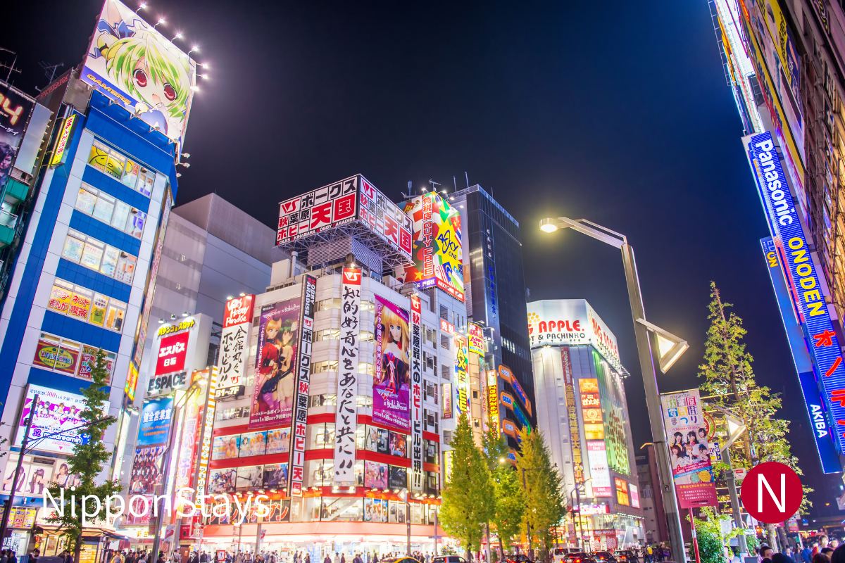 Akihabara electronics district illuminated at night.