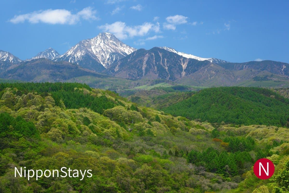 The Yatsugatake mountains above green forest, with snow still on the peaks