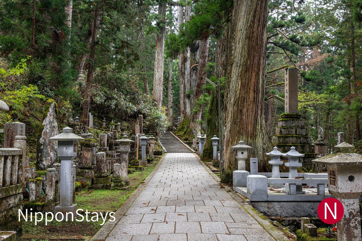 Stone lanterns and moss-covered memorials along the cedar-lined path at Okunoin, Koyasan
