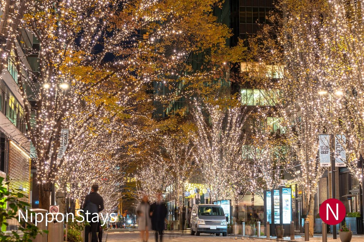 Tokyo With Kids Over New Year What's Open: Where to Stay