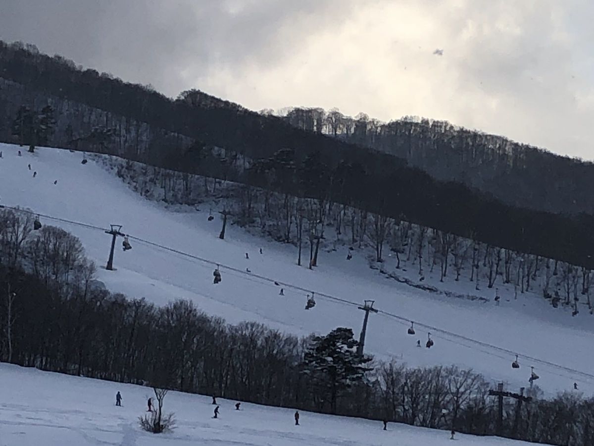 Gondola cabins and lift towers above snow-covered runs and bare winter trees at a ski area in Myoko, Niigata, with small skiers below