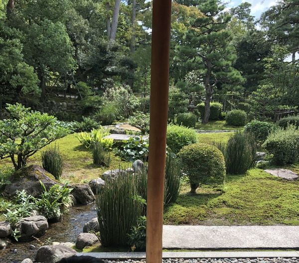 Temple garden with moss, stones and a stream in Kanazawa