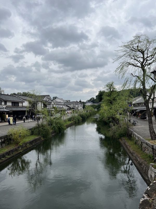 Willow-lined canal in the Kurashiki Bikan historical quarter