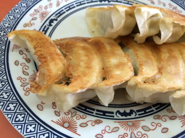 Plate of pan-fried yaki-gyoza at Masashi in Utsunomiya