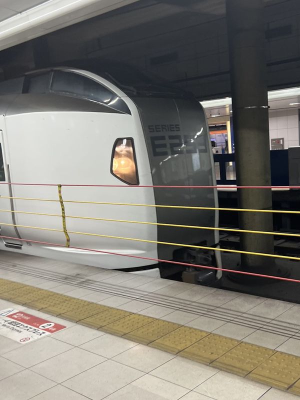 A Narita Express E259 series train waiting at a station platform