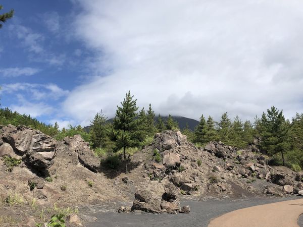 Walking trail through the rocky lava field on Sakurajima with pine trees and the volcano shrouded in cloud
