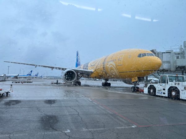 An ANA Boeing 777 in gold C-3PO special livery at a wet Haneda gate