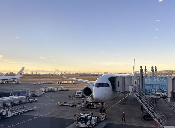 A Japan Airlines widebody parked at a jet bridge at Haneda at dawn, with baggage carts, a tug and ground crew on the apron an
