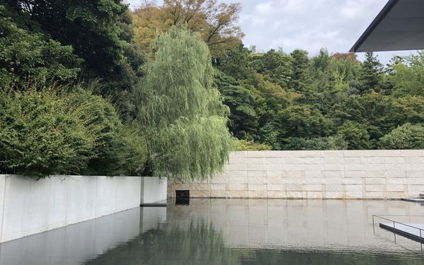A reflecting pool and low white gallery building at the 21st Century Museum of Contemporary Art in Kanazawa