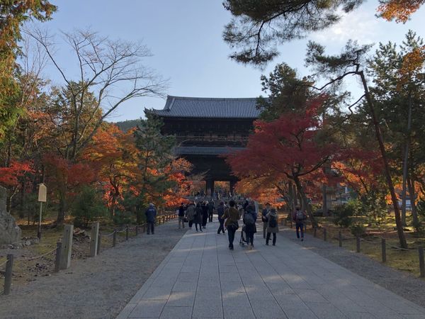The stone approach to Nanzen-ji's sanmon on an autumn morning, maples turning on both sides