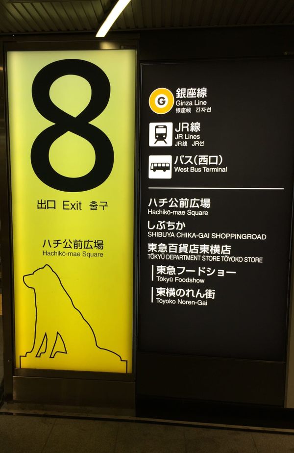 Shibuya Station Exit 8 sign for Hachiko-mae Square, with the Hachiko dog silhouette