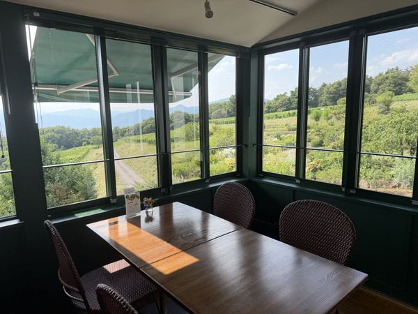 VillaDest winery café window view across Chikuma valley vineyards toward the North Alps, Tomi, Nagano