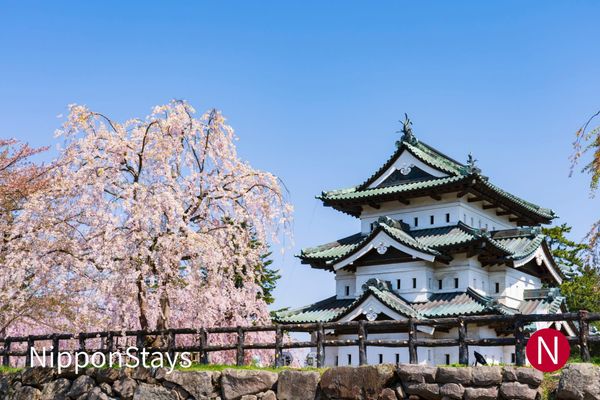 Hirosaki Castle among cherry blossoms
