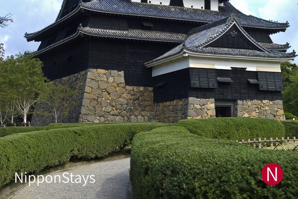 Matsue Castle keep above the trees