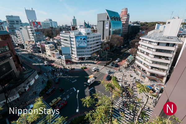 The tree-lined avenue of Omotesando